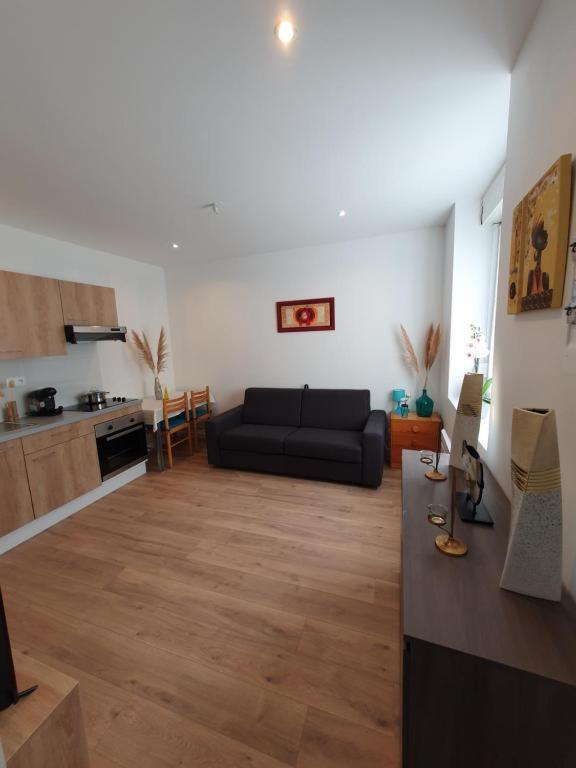 Appart'Hotel, Ikimo 5 Appartements Entiers A Votre Disposition Au Choix Nancy Exterior foto